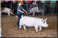 LCFAIR17-4335.jpg