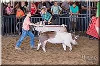 LCFAIR17-4337.jpg