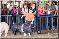 LCFAIR17-4339.jpg