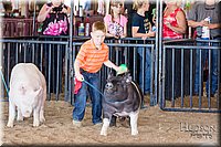 LCFAIR17-4341.jpg