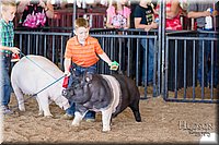 LCFAIR17-4342.jpg