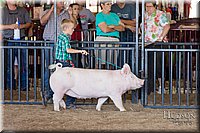 LCFAIR17-4344.jpg