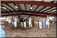 LCFAIR17-6042.jpg