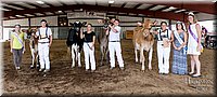 LCFAIR17-6050.jpg