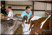 LCFAIR17-6098.jpg