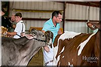 LCFAIR17-6099.jpg