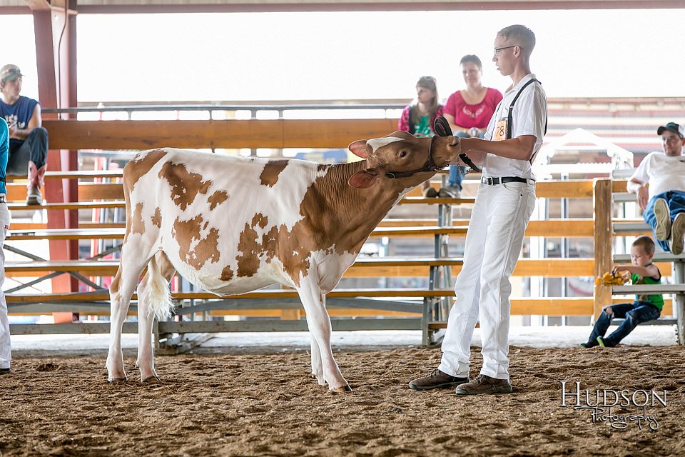 LCFAIR17-5624.jpg