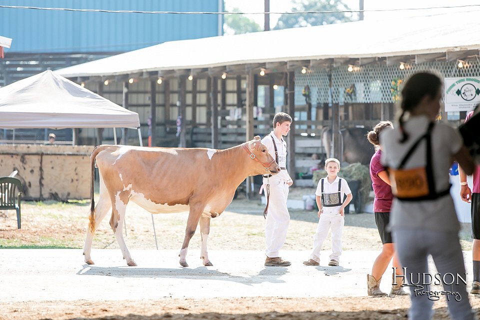 LCFAIR17-5648.jpg