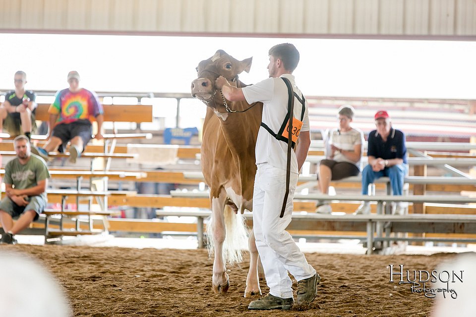 LCFAIR17-5860.jpg