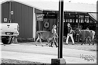 LCFAIR17-5449.jpg