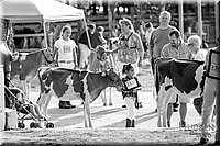 LCFAIR17-5456.jpg