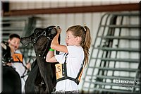 LCFAIR17-5505.jpg