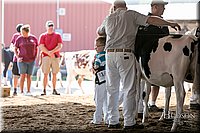 LCFAIR17-5514.jpg