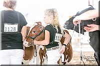 LCFAIR17-5531.jpg