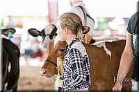 LCFAIR17-5534.jpg