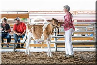 LCFAIR17-5536.jpg