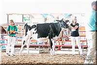 LCFAIR17-5555.jpg