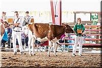 LCFAIR17-5556.jpg