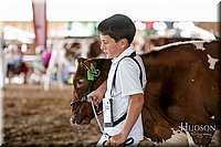 LCFAIR17-5559.jpg