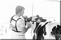 LCFAIR17-5562.jpg
