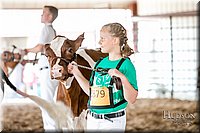 LCFAIR17-5565.jpg