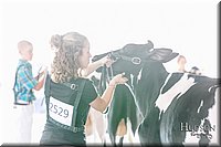 LCFAIR17-5569.jpg
