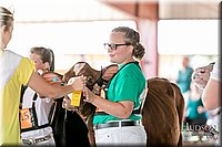 LCFAIR17-5592.jpg