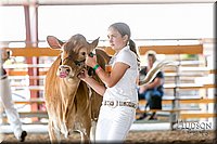 LCFAIR17-5603.jpg