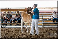 LCFAIR17-5605.jpg