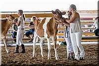 LCFAIR17-5608.jpg