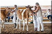 LCFAIR17-5609.jpg