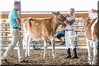 LCFAIR17-5610.jpg