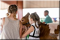 LCFAIR17-5613.jpg