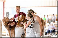 LCFAIR17-5616.jpg