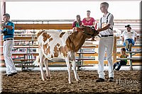 LCFAIR17-5625.jpg