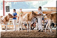 LCFAIR17-5628.jpg