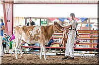 LCFAIR17-5629.jpg