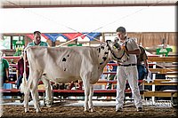 LCFAIR17-5631.jpg