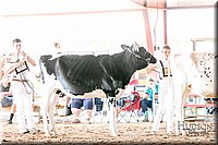 LCFAIR17-5636.jpg