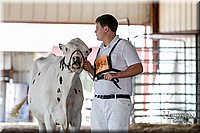 LCFAIR17-5639.jpg