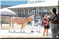 LCFAIR17-5647.jpg