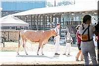 LCFAIR17-5648.jpg