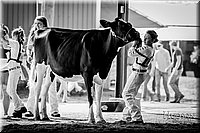LCFAIR17-5669.jpg