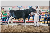 LCFAIR17-5676.jpg