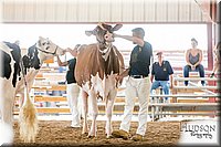 LCFAIR17-5853.jpg