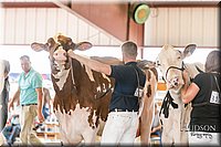 LCFAIR17-5855.jpg