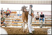 LCFAIR17-5860.jpg