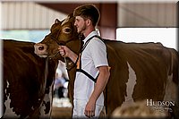 LCFAIR17-5864.jpg