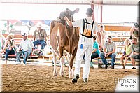 LCFAIR17-5866.jpg