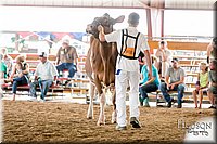 LCFAIR17-5867.jpg